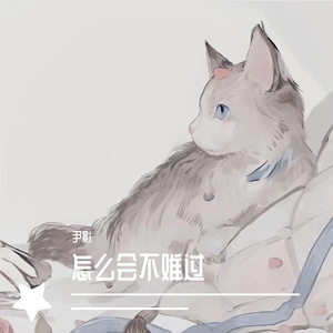 怎么会不难过(尹影版)