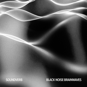 Black Noise Brainwaves