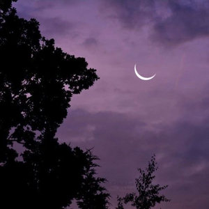 Under the Same Sky