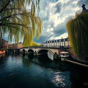 소년 소녀를 만나다