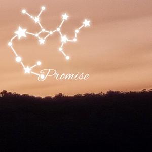 Promise