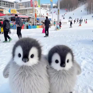 Us Vs. Them (sped up)