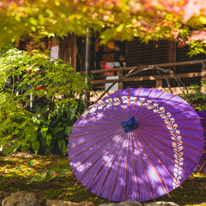 Journey of the Heart