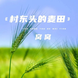 村东头的麦田