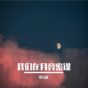 我们在月亮密谋