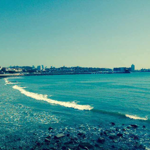 王熊熊版南山南宇宙第一深情！（Cover 马頔）