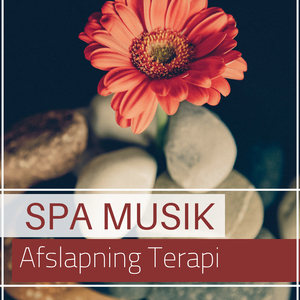 Spa Musik Afslapning Terapi