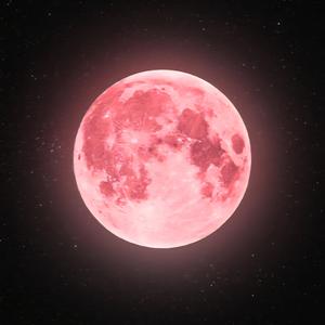 The pink moon is gone
