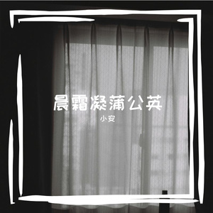 晨霜凝蒲公英