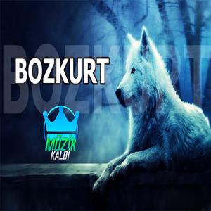 Bozkurt Tulum Trap Mafya Müziği