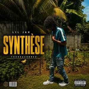 Synthèse