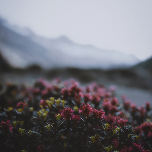 River Flows In You