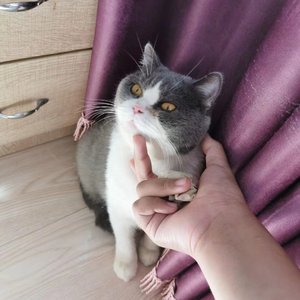 广州十年爱情故事（指弹版）