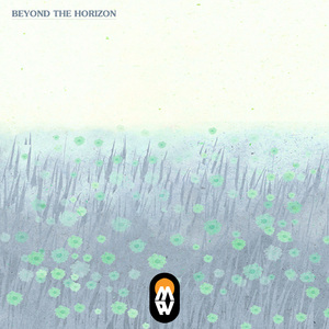 Beyond the horizon