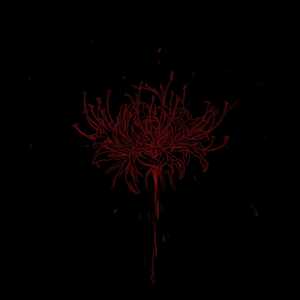 我翻越山海也没看到花火