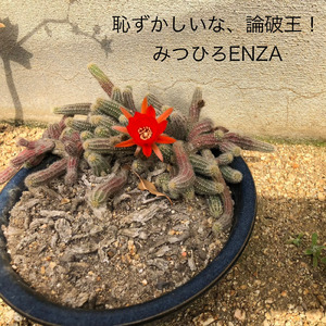 恥ずかしいな、論破王！