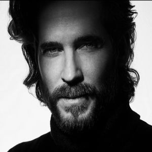 Ромашки цветочки