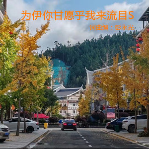 为他你宁愿让我来掉眼泪