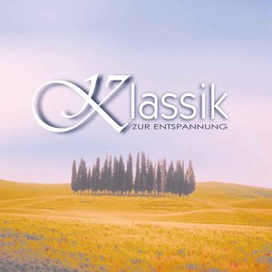 Brandenburg Concerto No. 5 in D Major, BWV 1050: II. Affettuoso