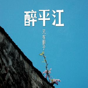 醉平江 - 只有影子