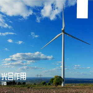 应是堂前佛拜我