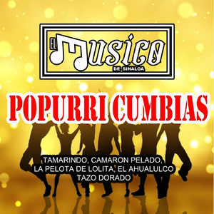 Popurri Cumbias, Tamarindo, Camaron Pelado, La Pelota de Lolita, El Ahualulco, Tazo Dorado (En Vivo)