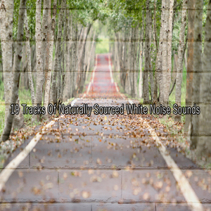 白噪声睡眠声音