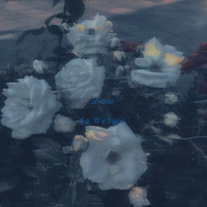 [Free] “7.19”