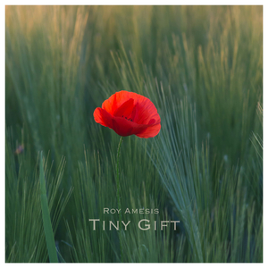 Tiny Gift