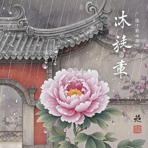 雨中牡丹