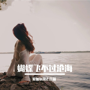 蝴蝶飞不过沧海