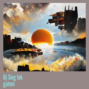Dj Sing Tek Gateni
