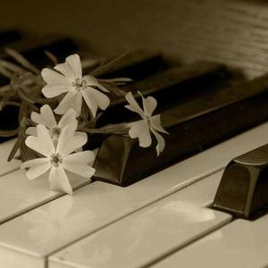 友情岁月--柯子钢琴编配（翻自 郑伊健）