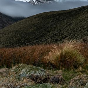 凝视星空的神秘