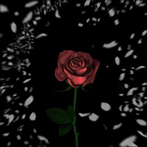 schwarz verfärbt (feat. sadlyDove)