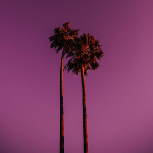 With Time (BS) (feat. Danilu)