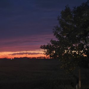 ata ana