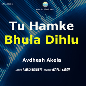 Tu Hamke Bhula Dihlu