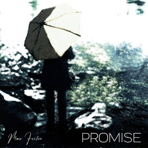 Promise