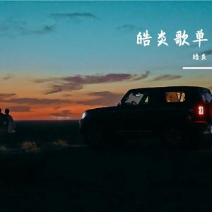 我的画