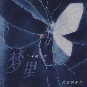 梦里