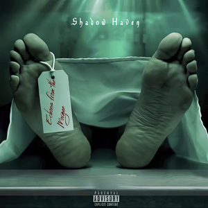 Echoes from the Morgue