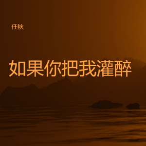 如果你把我灌醉