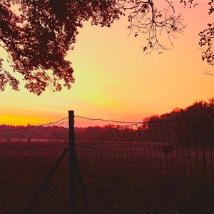 Could You Just Listen for a While, Please?