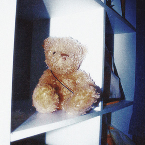 teddy bear