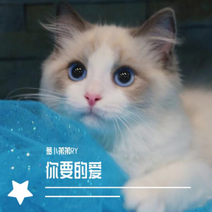 《你要的爱》