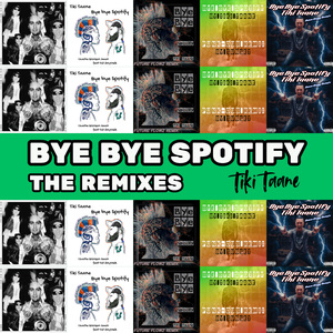 Bye Bye Spotify (Paul The Kid Remix)