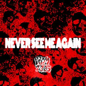 Never See Me Again
