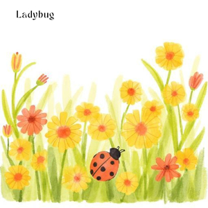 Ladybug