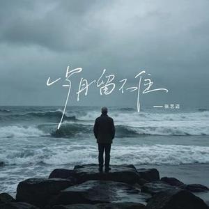 岁月留不住 (DJ阿尼版)